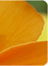 d1_m7